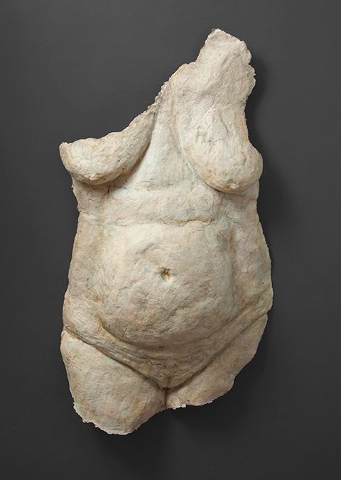 Venus Comes of Age