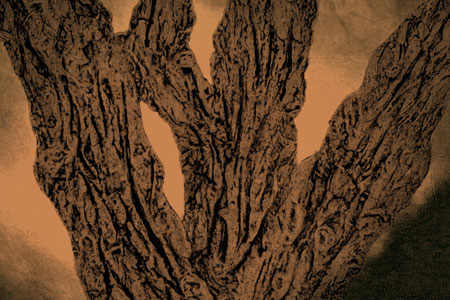 Trees